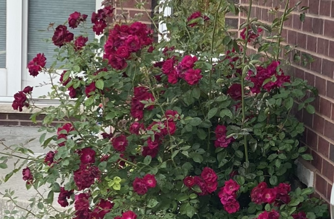 So I did a&nbsp;thing…