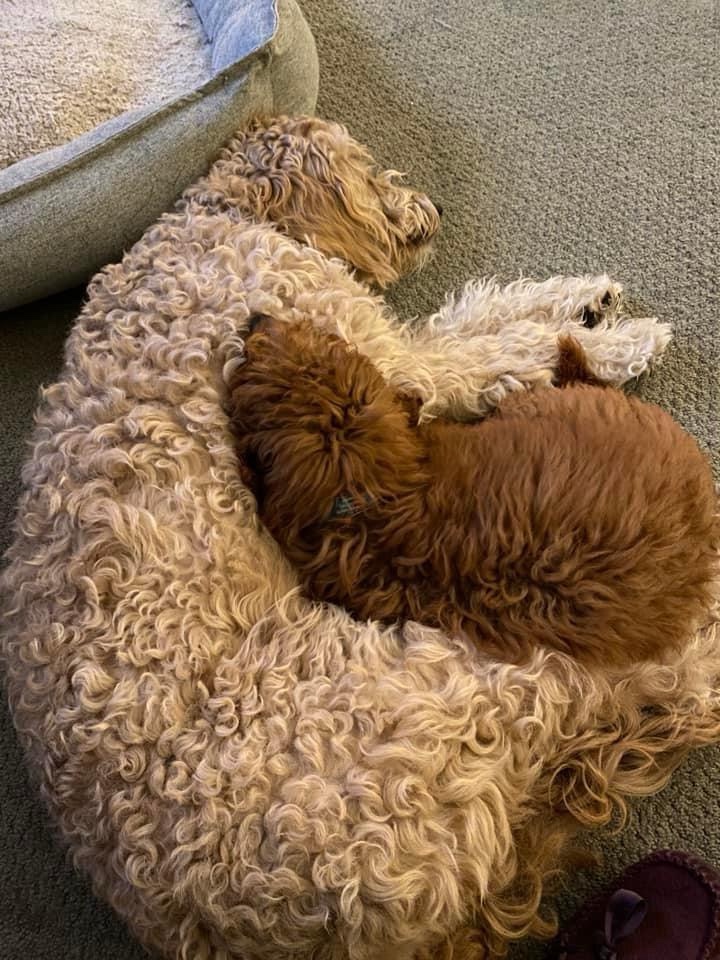 washing off the&nbsp;mess…